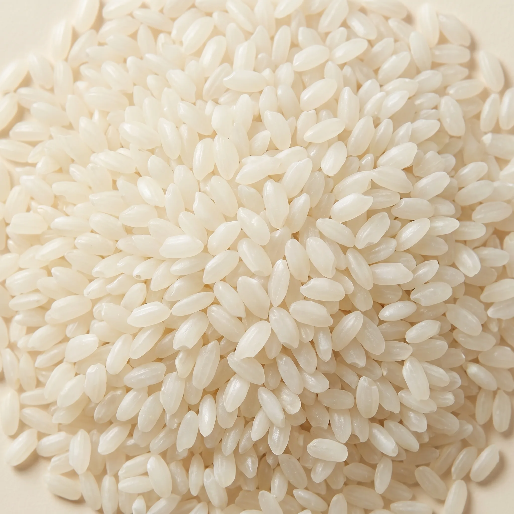 High-protein rice grain closeup